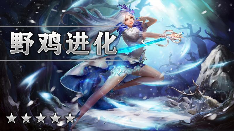 野鸡进化